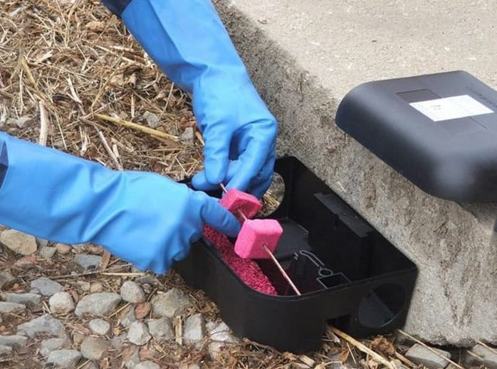 Дератизация в Волгограде